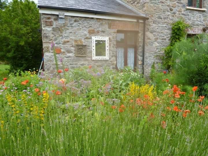 Middle Mill Bed and Breakfast Kidwelly Exterior foto