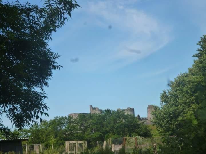 Middle Mill Bed and Breakfast Kidwelly Exterior foto